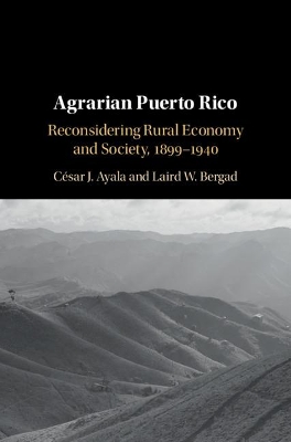 Agrarian Puerto Rico: Reconsidering Rural Economy and Society, 1899–1940 book