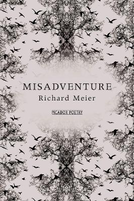 Misadventure book