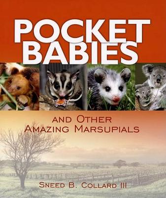 Pocket Babies book