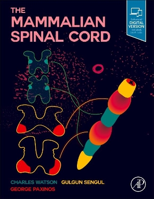 The The Mammalian Spinal Cord by Charles Watson