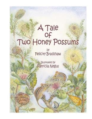 A Tale of Two Honey Possums book
