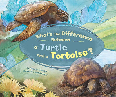 What's the Difference Between a Turtle and a Tortoise? book