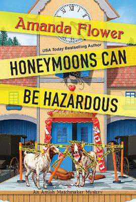 Honeymoons Can Be Hazardous book