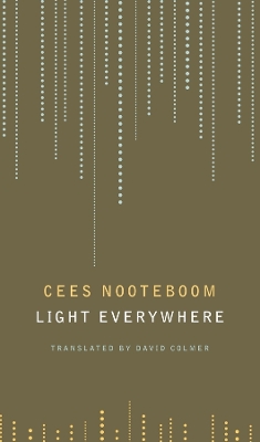 Light Everywhere: Selected Poems book