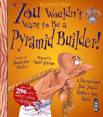 You Wouldn't Want To Be An Egyptian Pyramid Builder! book