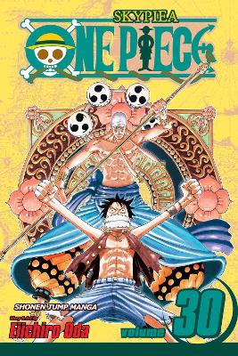 One Piece, Vol. 30 book