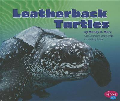 Leatherback Turtles book