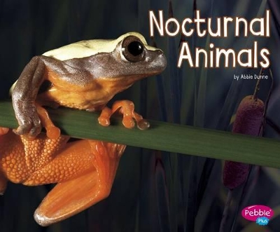 Nocturnal Animals book