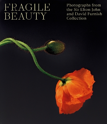 Fragile Beauty: Photographs from the Sir Elton John and David Furnish Collection - The Official V&A Exhibition Book book