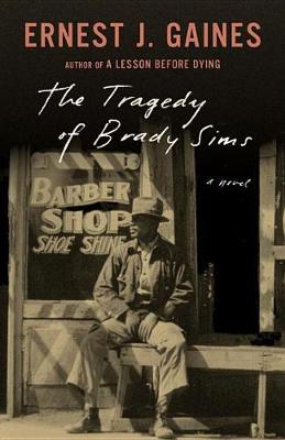 Tragedy of Brady Sims book