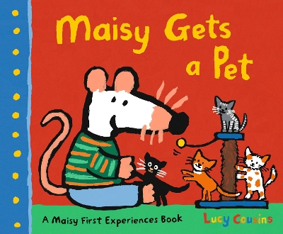 Maisy Gets a Pet book