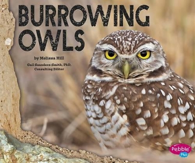 Burrowing Owls by Melissa Hill