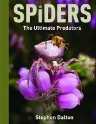 Spiders: the Ultimate Predators by Stephen Dalton