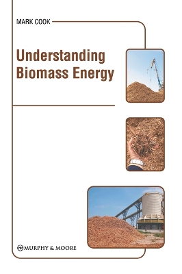 Understanding Biomass Energy book