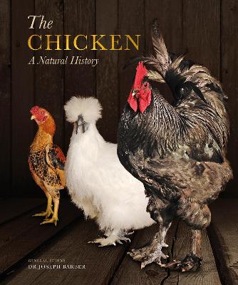 Chicken book