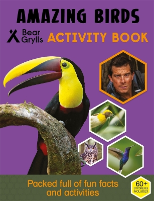 Bear Grylls Activity Series: Birds - Bear Grylls book