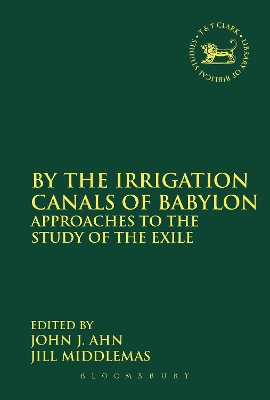 By the Irrigation Canals of Babylon book