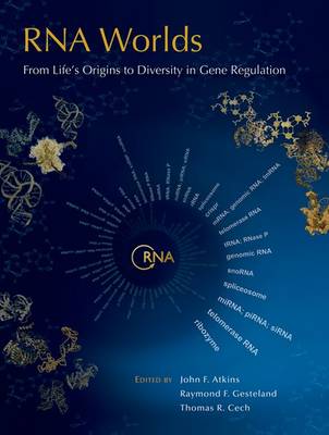 RNA Worlds book