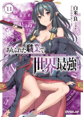 Arifureta: From Commonplace to World's Strongest (Light Novel) Vol. 11 book