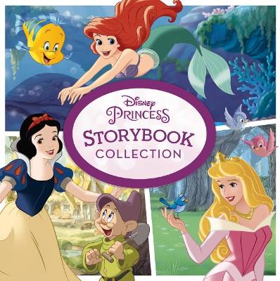 Disney Princess: Storybook Collection book