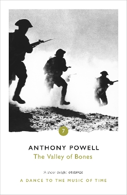 Valley Of Bones book