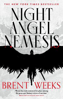 Night Angel Nemesis book