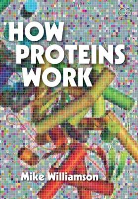 How Proteins Work book
