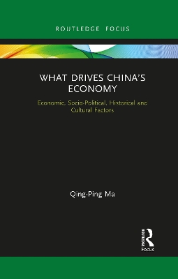 What Drives China’s Economy: Economic, Socio-Political, Historical and Cultural Factors by Qing-Ping Ma