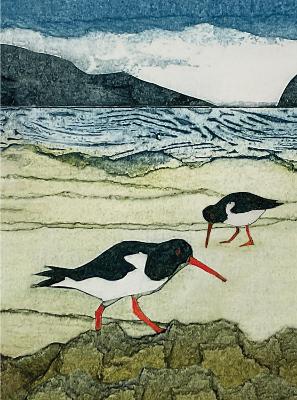 Wild Birds Pocket Notebook: Oystercatcher book