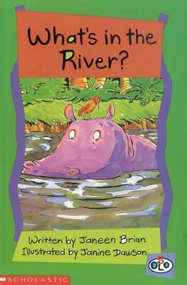 Whats in the River? book