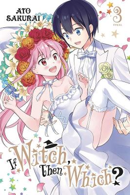 If Witch, Then Which?, Vol. 3 book