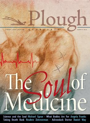 Plough Quarterly No. 17- The Soul of Medicine book