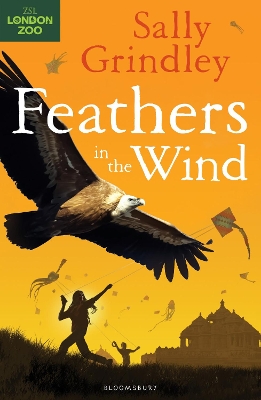 Feathers in the Wind book