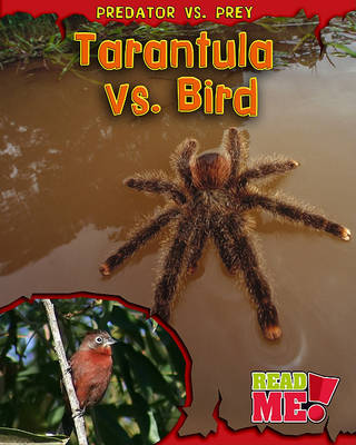 Tarantula vs. Bird by Mary Meinking