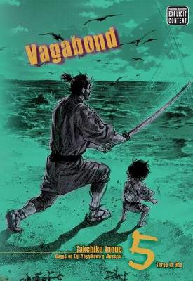 Vagabond, Vol. 5 (VIZBIG Edition) book