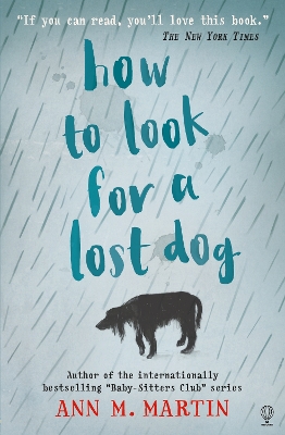 How to Look for a Lost Dog book