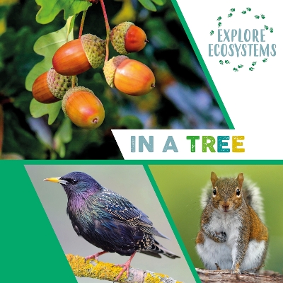 Explore Ecosystems: In a Tree book
