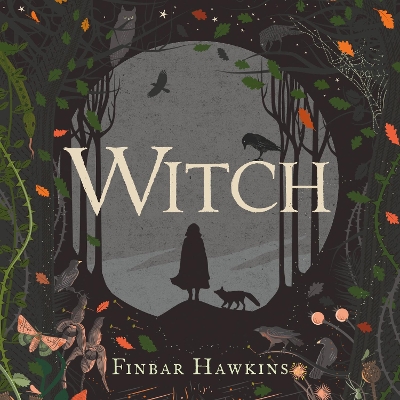 Witch by Finbar Hawkins