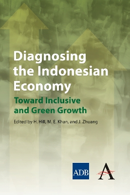 Diagnosing the Indonesian Economy by Hal Hill