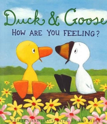 Duck and Goose: How Are You Feeling? book