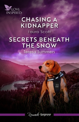 Chasing A Kidnapper/Secrets Beneath The Snow book