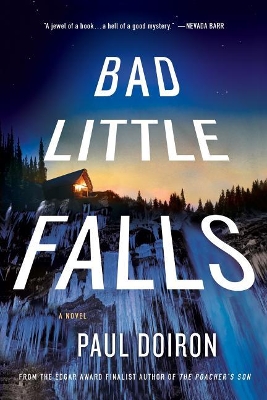 Bad Little Falls book