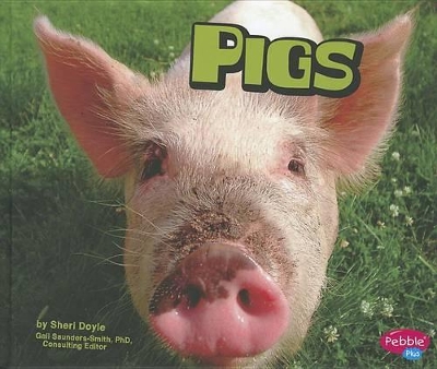 Pigs by Sheri Doyle