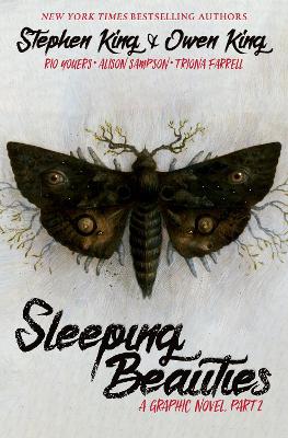 Sleeping Beauties, Vol. 2: Graphic Novel book