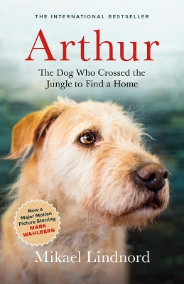 Arthur: The Dog Who Crossed the Jungle to Find a Home book