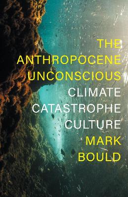 The Anthropocene Unconscious: Climate Catastrophe Culture book