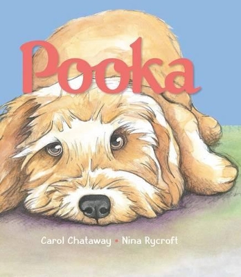 Pooka book