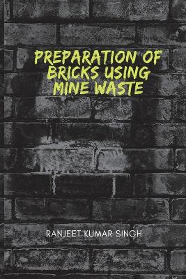 Preparations of Bricks Using Mine Waste book