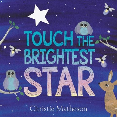 Touch the Brightest Star book