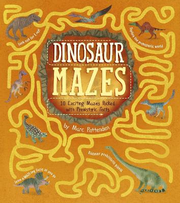 Dinosaur Mazes book